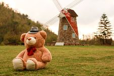 Teddy Bear Royalty Free Stock Photos Teddy Bear Royalty Free Stock Photos