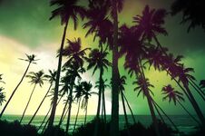 Untouched Tropical Beach In Sri Lanka Royalty Free Stock Image Untouched Tropical Beach In Sri Lanka Royalty Free Stock Image