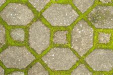 Moss On Cement  Pathway Royalty Free Stock Photo