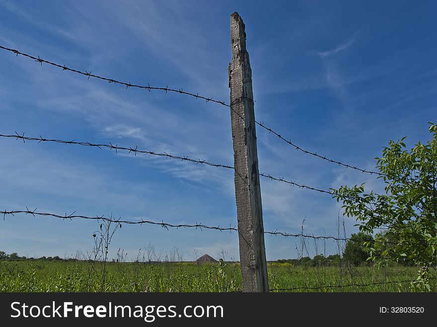 Barbed wire fence against a background of green meadow