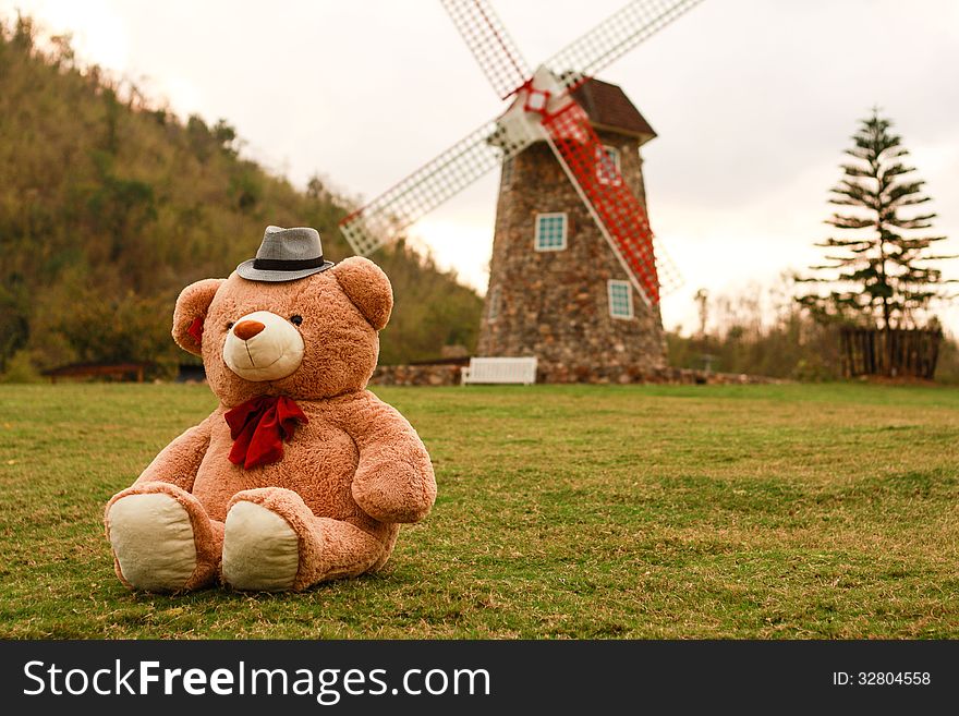 Teddy bear in grass/graden