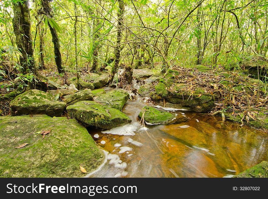 Streamlet intropical rain forest , Thailand