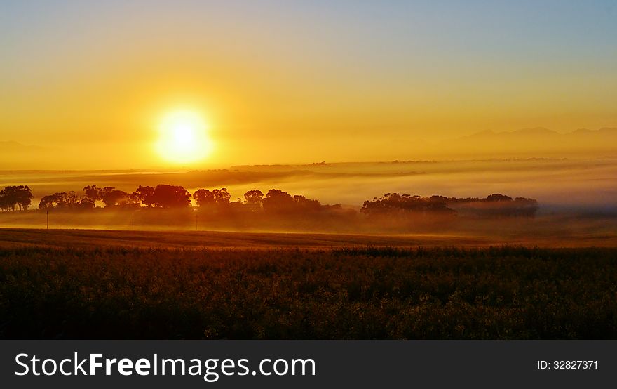 Landscape with trees and fog at sunrise. Landscape with trees and fog at sunrise