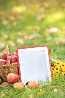 Basket Of Red Apples And Tablet PC Stock Photo Basket Of Red Apples And Tablet PC Stock Photo