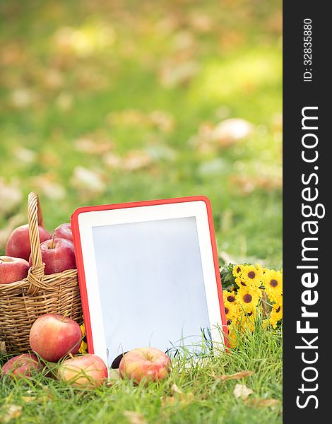 Basket of red apples and tablet PC on grass in autumn park