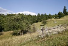 Alpine Pasture Near The Forest Royalty Free Stock Photography Alpine Pasture Near The Forest Royalty Free Stock Photography