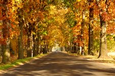 Road In The Autumn. Royalty Free Stock Images Road In The Autumn. Royalty Free Stock Images