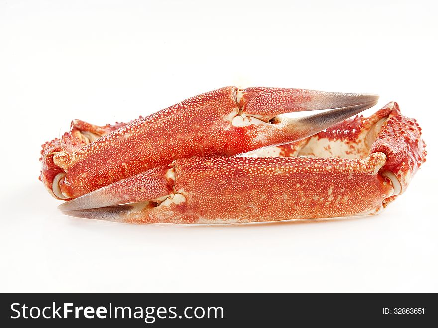 Wild red crab claws isolated against white