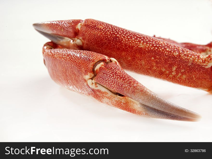 Wild crab claws isolated against white backround