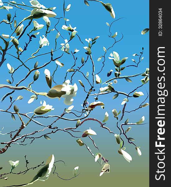 Branches with white magnolias against bright blue sky