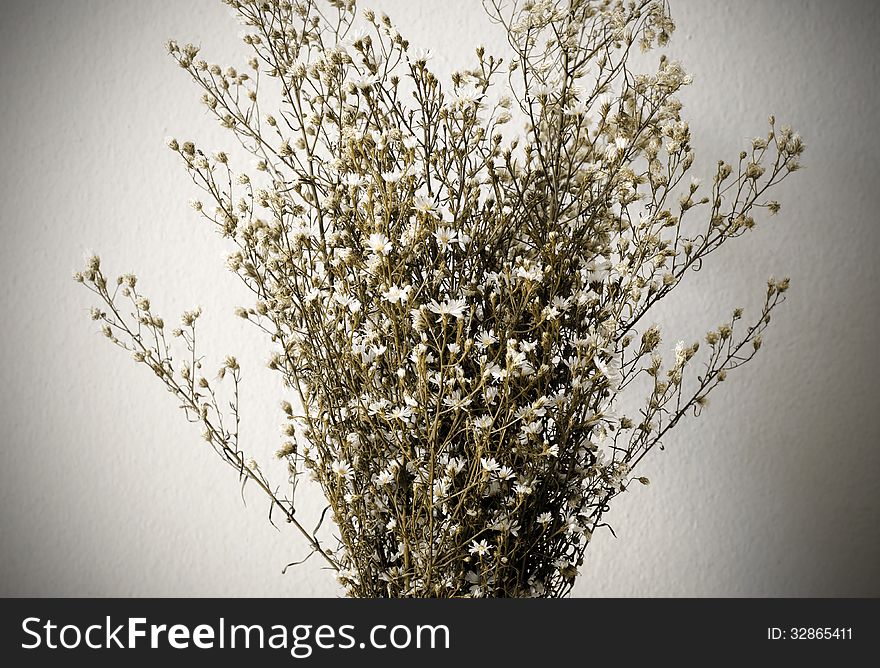Dried bouquet of white flowers on white background