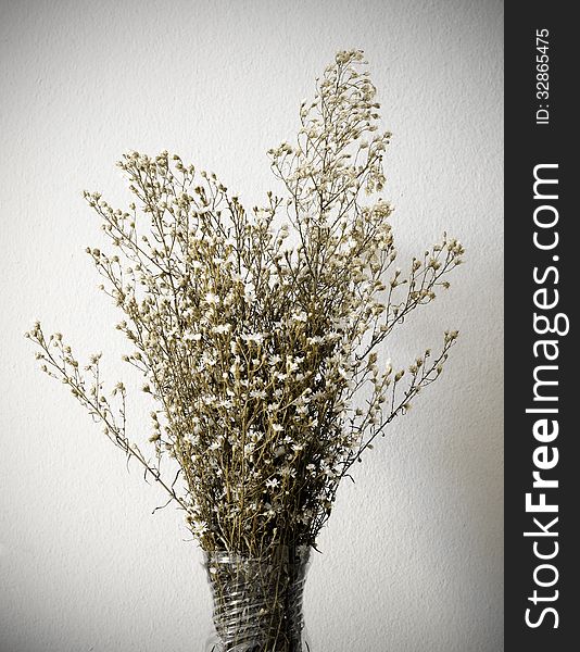 Dried bouquet of white flowers in vase on white background