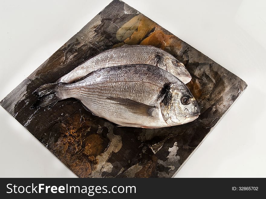 Fresh sea bream against grey and white