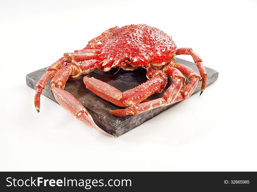 Wild Red Crab