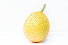 Momordica Cochinchinensis Stock Images