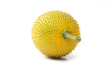 Momordica Cochinchinensis Stock Image