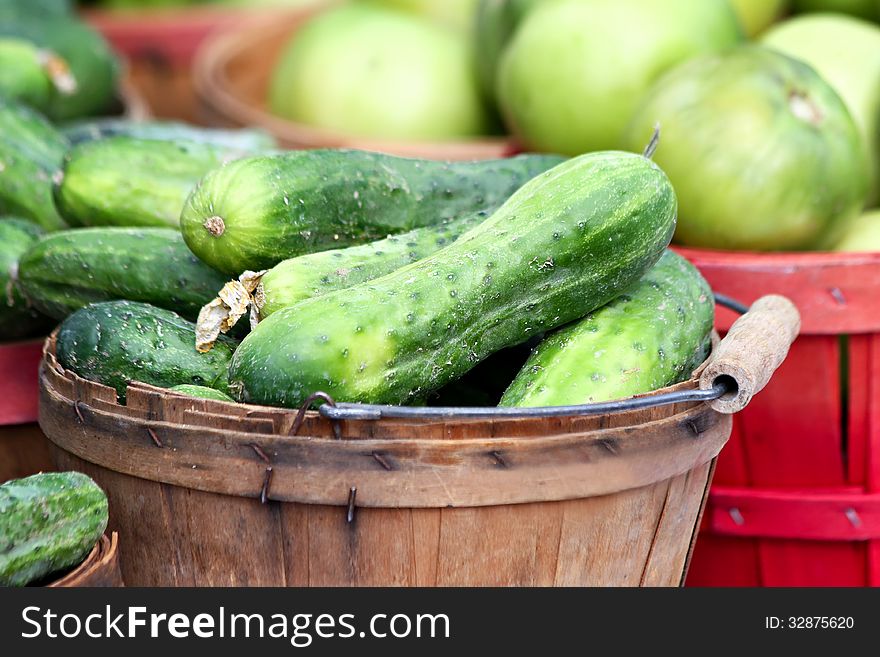 Basket of freshly harvested cucumbers. Basket of freshly harvested cucumbers.