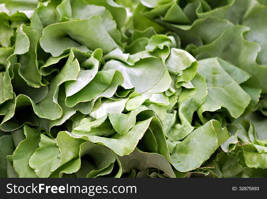 Fresh lettuce at the farmer&#x27;s market.