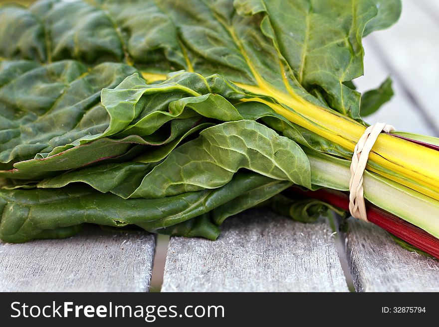 Bunch of freshly picked rainbow chard.