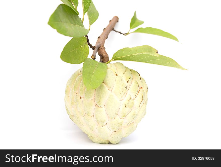 Sugar Apple on white background