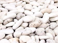 Sea Stone Stock Images Sea Stone Stock Images