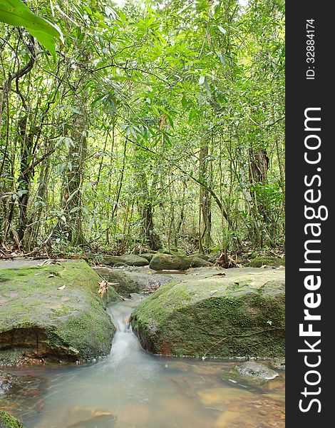 Natural rainforests of Thailand. Source conservation. And eco-tourism resources.