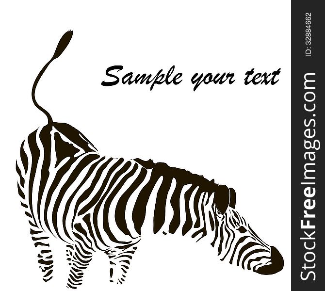 Zebra with white background vector illustration. Zebra with white background vector illustration