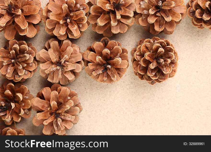 Pine cones arranged on the sand.