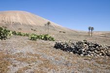 Arid Landscape In Lanzarote Royalty Free Stock Photo Arid Landscape In Lanzarote Royalty Free Stock Photo