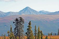 Alaska Stock Images
