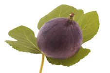 Figs On The Leaf Stock Photography Figs On The Leaf Stock Photography