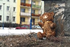 Bear Toy Royalty Free Stock Photography Bear Toy Royalty Free Stock Photography