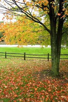Bright Autumn Scene Stock Image Bright Autumn Scene Stock Image