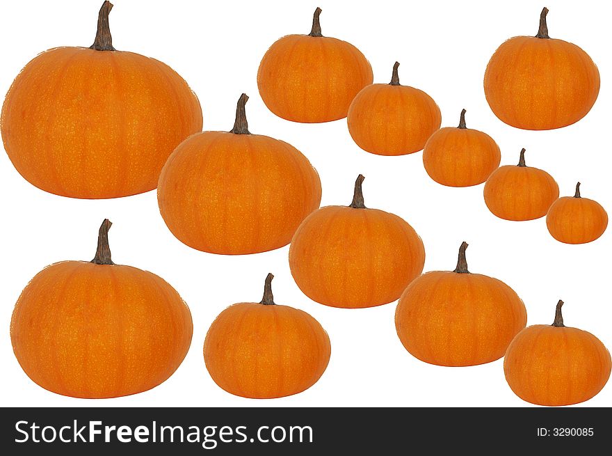 Thirteen pumkins lineup in front of white background. Thirteen pumkins lineup in front of white background
