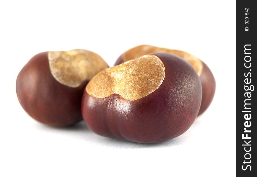 Three piece of  isolated  chestnuts on white background