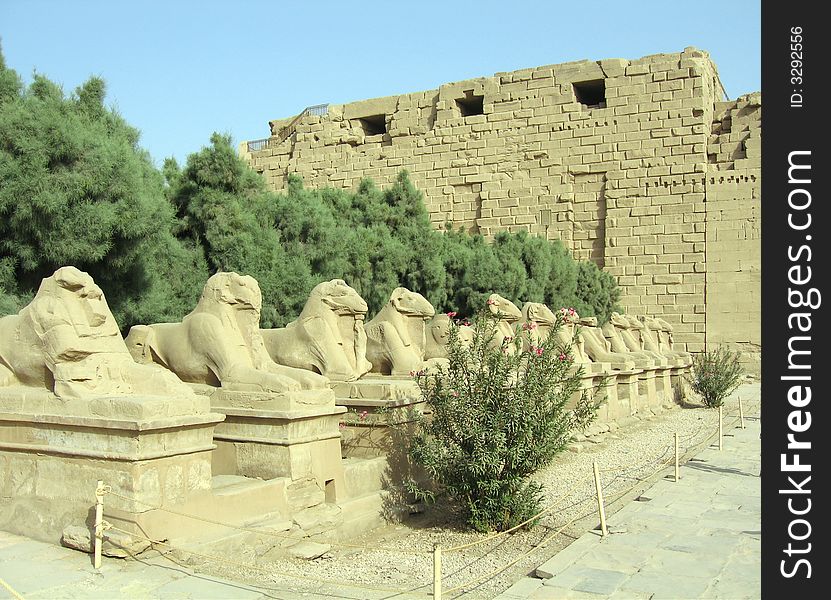 Avenue of Sphinxs at Karnak temple in Luxor, Egypt. Avenue of Sphinxs at Karnak temple in Luxor, Egypt