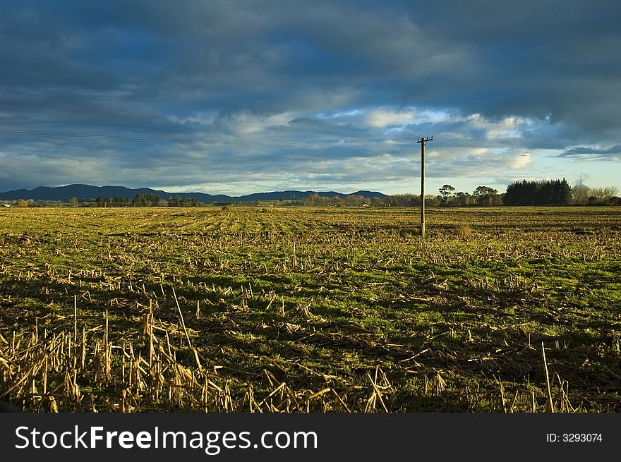 Harvested Cornfield In Colour