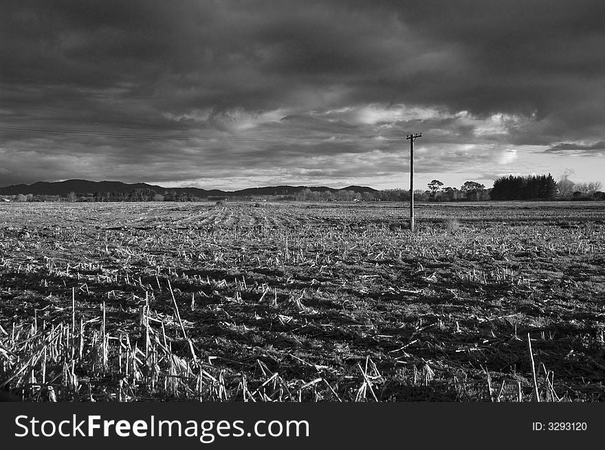 Cornfield after harvest photographed late afternoon. Cornfield after harvest photographed late afternoon.