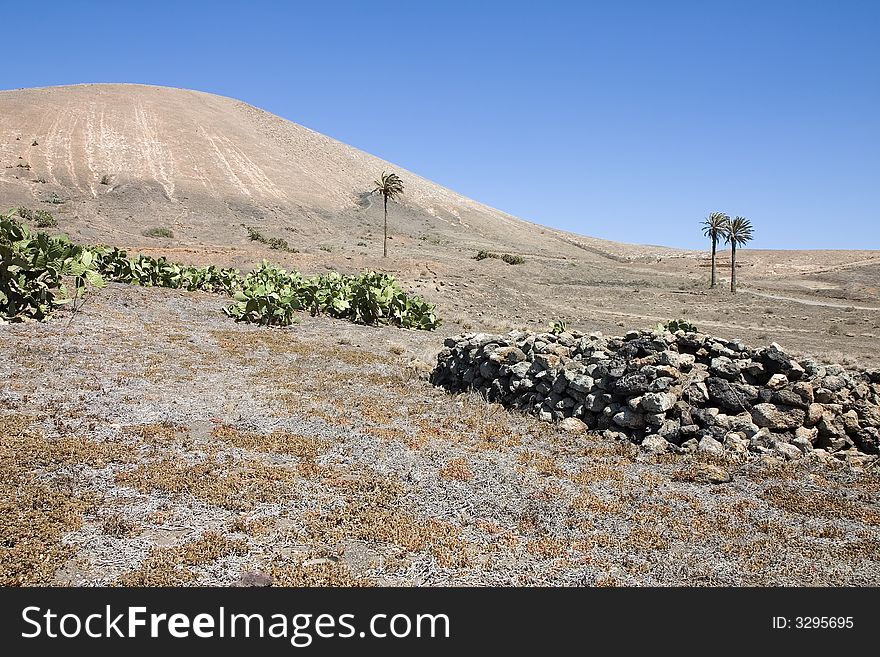 Arid landscape in Lanzarote, Canary Islands, Spain