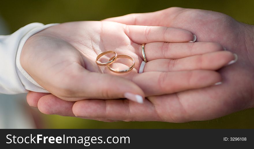 Bride and Groom's hand, showing their rings. Detail. Bride and Groom's hand, showing their rings. Detail.