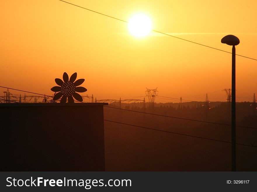 Sunset in an industrial area of Rome with an sunflower on a house terrace. Sunset in an industrial area of Rome with an sunflower on a house terrace