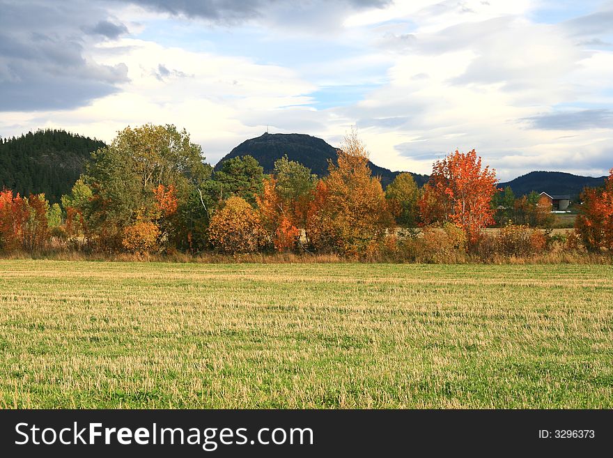 Field after the harvest in autumn. Field after the harvest in autumn