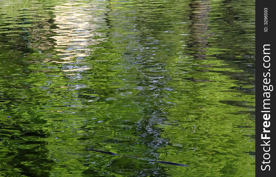 Interesting background generated by the vegetation reflections in a park lake. Interesting background generated by the vegetation reflections in a park lake.