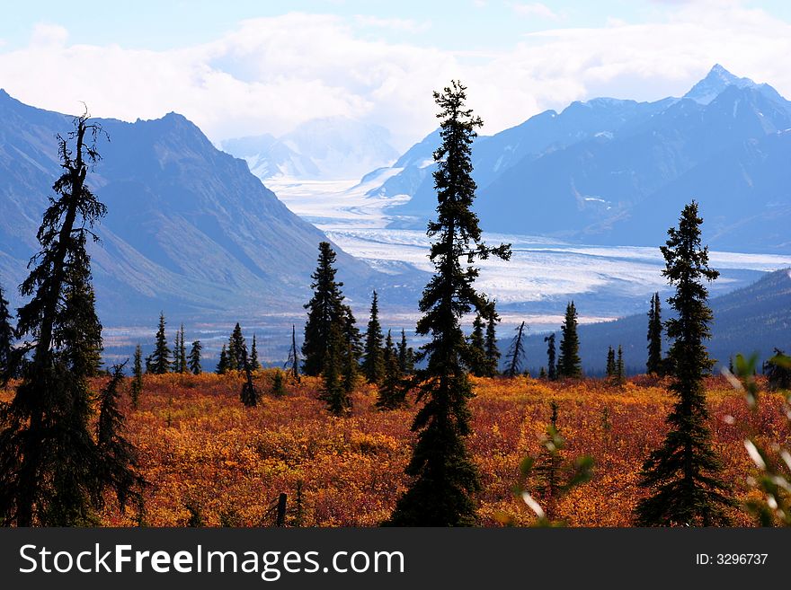View of Alaskan mountains and meadow.