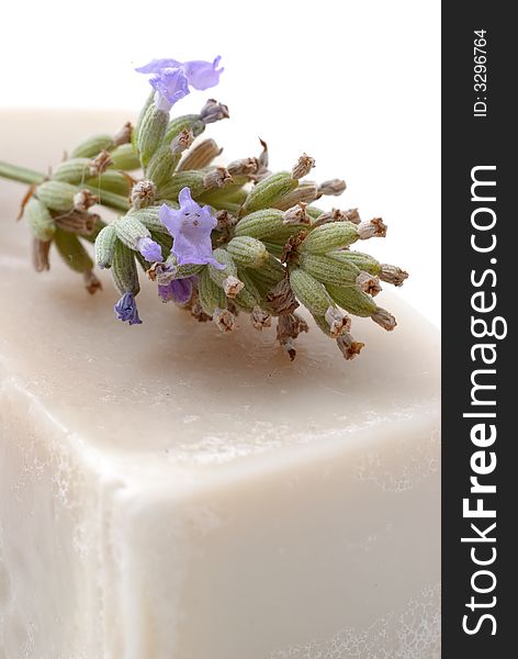 Photography of a soap with lavender