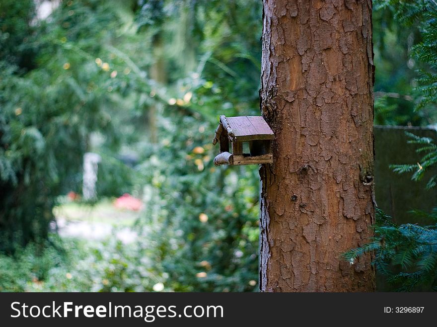 Bird House with isolated background blur in park