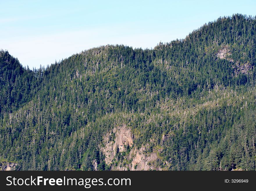 Forest covering mountains in Alaska. Forest covering mountains in Alaska.