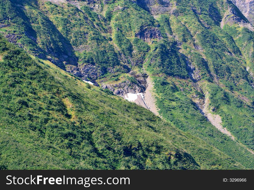Forest covering mountains in Alaska with small stream. Forest covering mountains in Alaska with small stream.