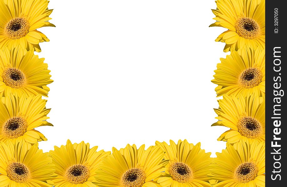 Flower background frames