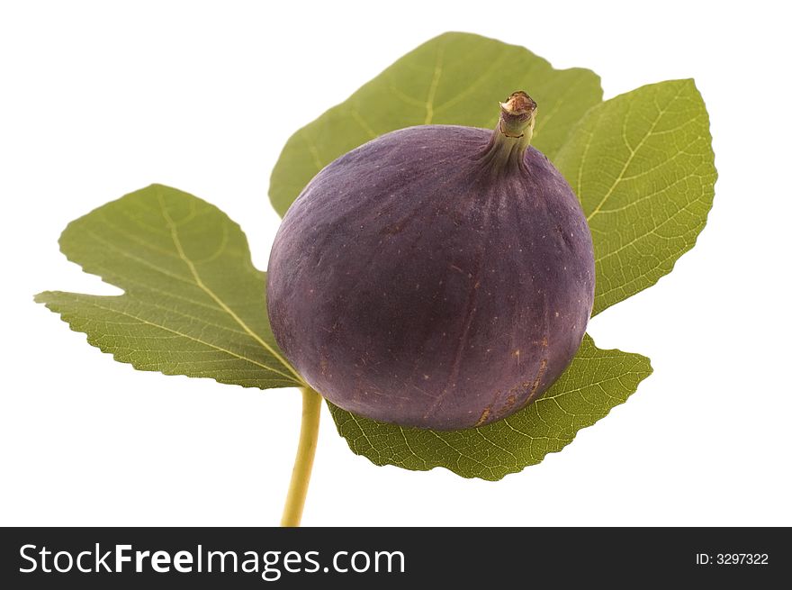 Figs On The Leaf